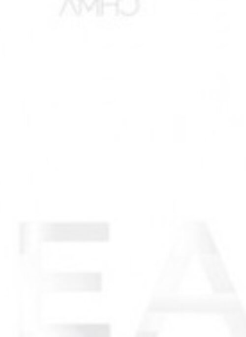 AMHO Mini Album - IDEAL
