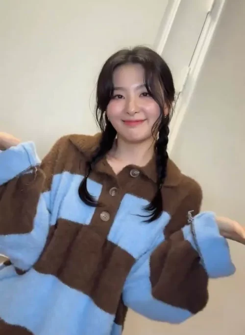 Blue And Brown Striped Collared Sweater | Seulgi - Red Velvet
