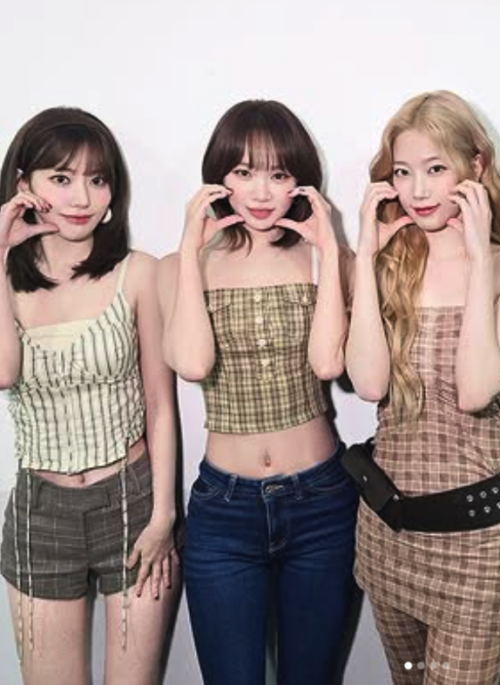 Brown Button Accent Plaid Top | Chaewon - Le Sserafim