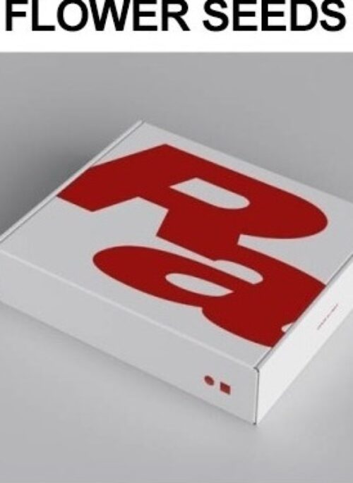 Code Kunst 5th Full Album - Remember Archive | NO FLOWER SEEDS version