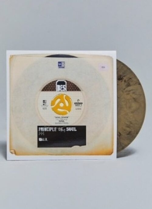 NAUL 1st Full Album - Principle Of My Soul | 10th Anniversary LP, Limited Edition