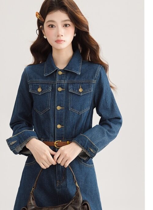 Vintage Chic Denim Dress Midlength Design